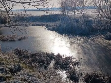corps de ferme - 156 m2 - dépendances et étang