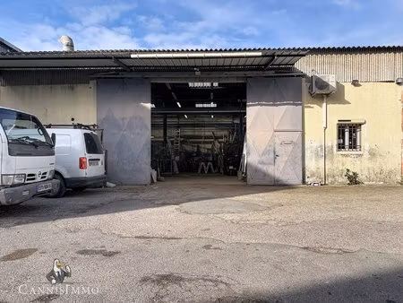 les tourrades cannes la bocca - hangar 310m2