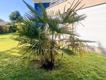 maison d'architecte bois guillaume