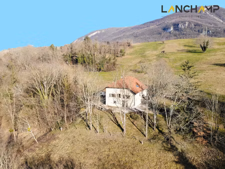 jolie maison traditionnelle avec grand terrain