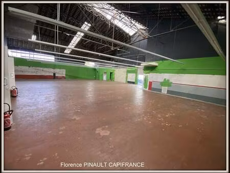 pinault florence capifrance