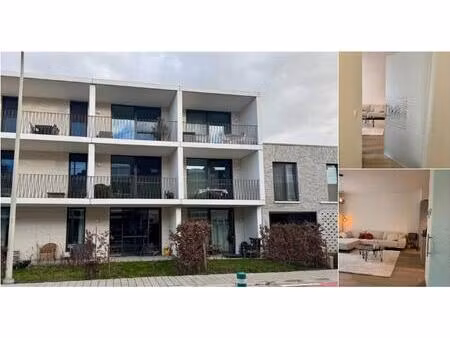 rez-de-chaussée à louer à ten rode 2 lier (rbv03621)