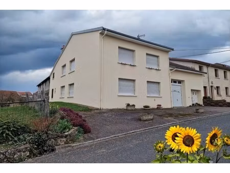 dpt vosges (88)  à vendre proche vittel de village t6 de 324 m2 + hangar / 1500 m2 terrain