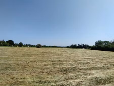 grand terrain constructible de 3925 m² à castelnau-montratier