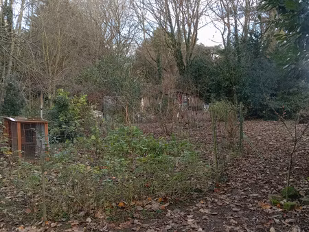 terrain constructible centre-ville béthune