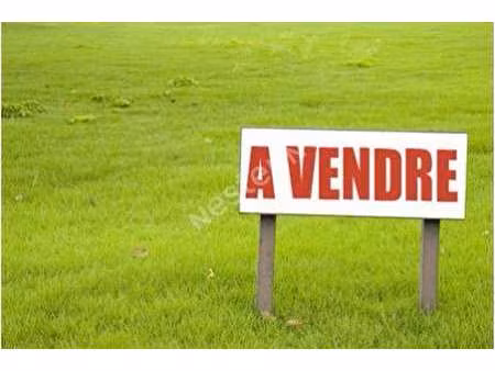 vente terrain à saint-martin-des-prés (22320) : à vendre / 1070m² saint-martin-des-prés