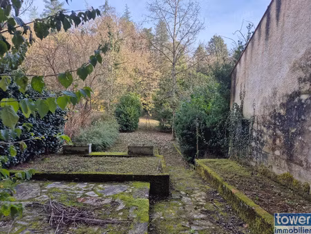 immeuble ancien avec jardin