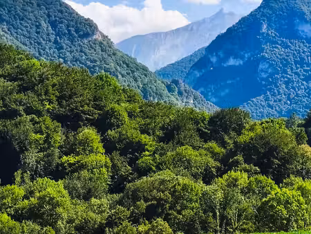 terrain 0 pièces 1395 m² à vendre / acheter arthez-d'asson 64800 ? | era immobilier