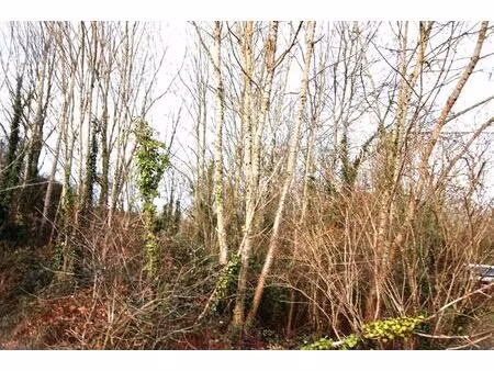 achat terrain 4 273m² belluire 17800