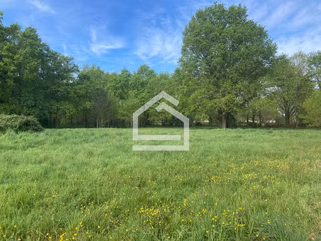 achat terrain 556m²