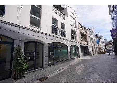 zeer goed gelegen stadsappartement met garage + groot terras