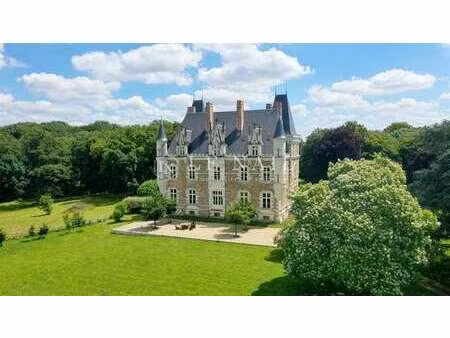 château à vendre à château-gontier : 1 800 000 € | 700m²