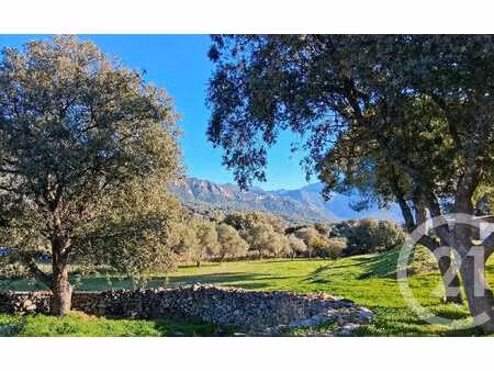 maison de luxe à vendre à montegrosso : 615 000 € | 150m²