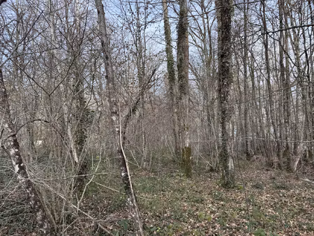 achat terrain 2 259m² sommecaise 89110