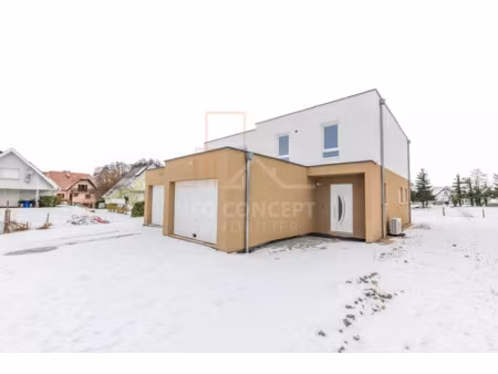 vente maison 4 pièces 95.5 m² à griesbach (67110)  300 000 €