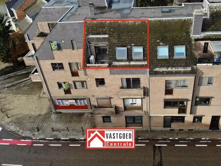 gezellig appartement nabij centrum tongeren