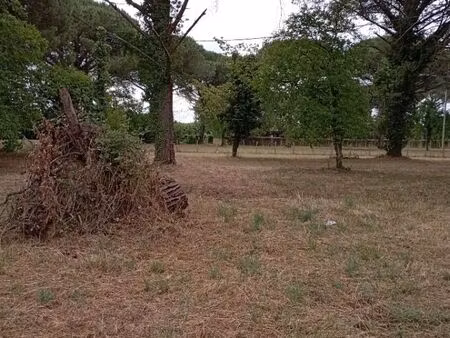 vente terrain 1040 m² langon (33210)