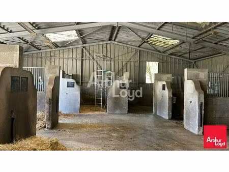 local d'activite a vendre