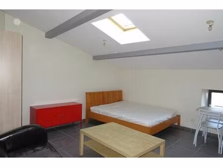 location appartement 1 pièces 22m2 tain-l'hermitage 26600 - 390 € - surface privée