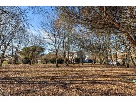 stone country property