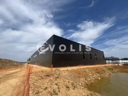 locaux activite neufs a louer