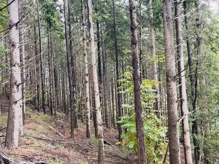 vente terrain 16280 m² prémian (34390)