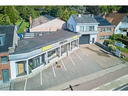 commercieel te koop in tongeren-borgloon