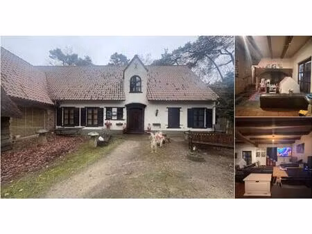 maison à louer à hazelaardreef 40 grobbendonk (rbv03694)