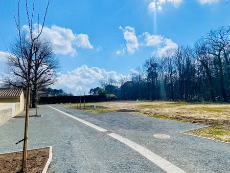 vente maison à construire 80 m² avensan (33480)