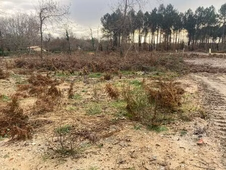 vente terrain à construire 405 m² biscarrosse (40600)