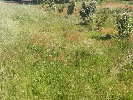 vente terrain à construire 600 m² hostens (33125)