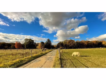 vente maison 7 pièces 200 m² à bourdonné (78113)  1 498 000 €