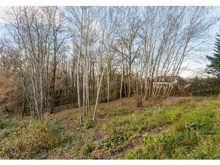 vente terrain 1075 m² urcuit (64990)