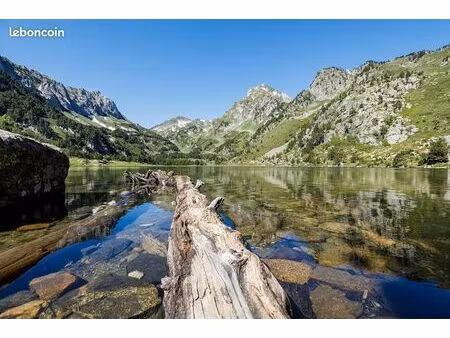 recherche location maison