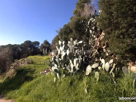 terrain 3 100 m² ajaccio