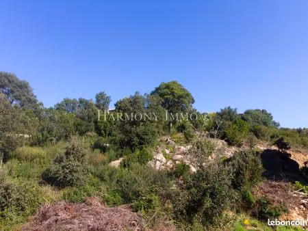 terrain 961 m² tavaco