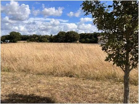 terrain constructible viabilisé à vendre