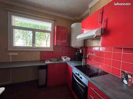 appartement 1 pièce 31 m²