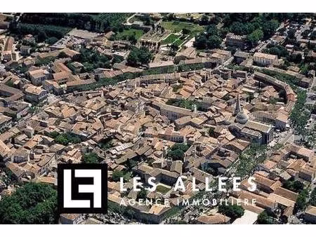 immobilière les allées