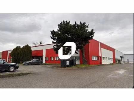 local d'activités à louer