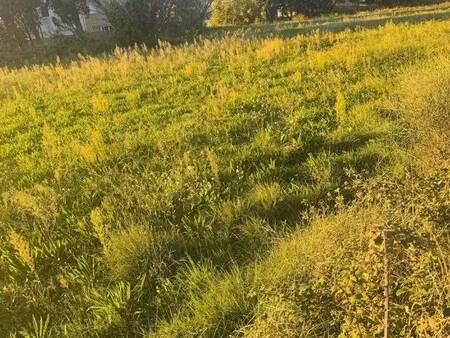 terrain constructible viabilisé à vendre