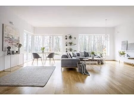 noveo immo strasbourg