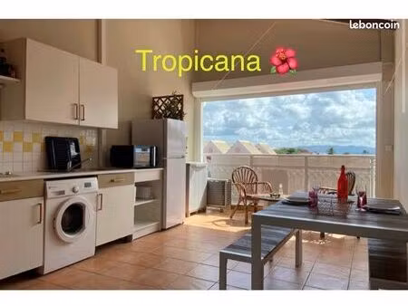 studio mezzanine trois îlets