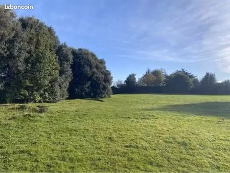 recherche de terrain constructible