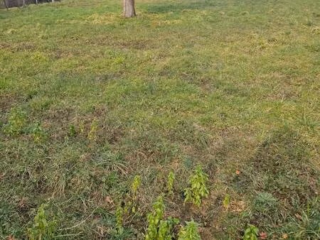 terrain à vendre