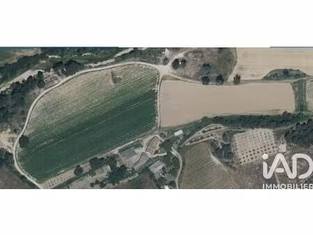 iad france sophie stumpp