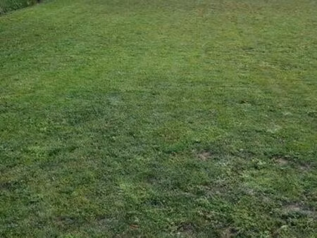 loue maison 3 chambres jardin a 15 minutes de lille