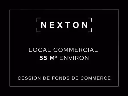nexton immobilier