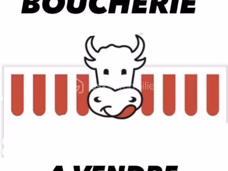 sophie roy bsk immobilier