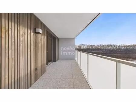 noveo immo strasbourg